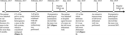 Case Report: Recurrence of Testicular Myofibroblastic Tumor After Surgery